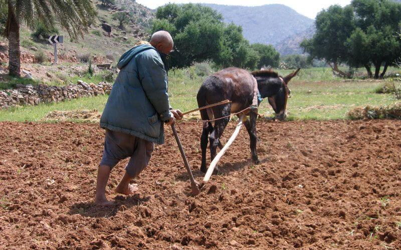 European Investment Bank Commits €200 Million to Boost Sustainable Agriculture in Morocco