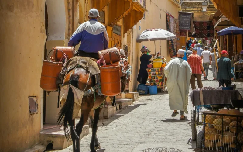 Fès wins Mayors Challenge 2026 award and $1 million for urban innovation