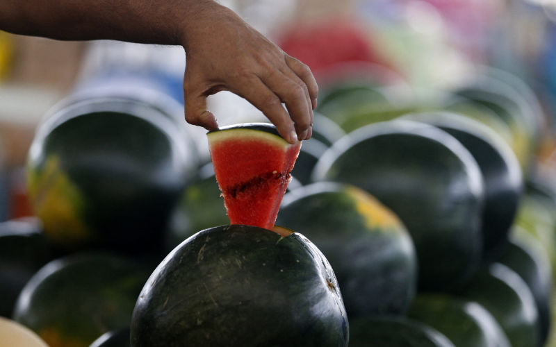 Food Poisoning Outbreak in Morocco: 13 Family Members Hospitalized After Eating Watermelon