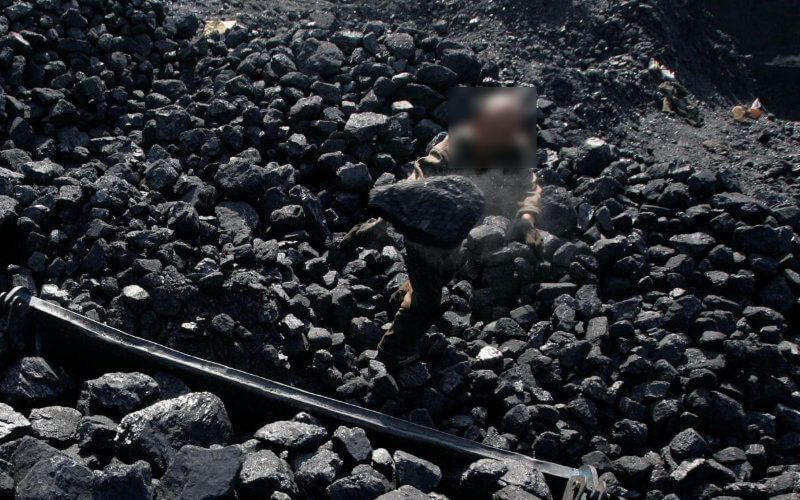 Forest Fire Exposes Illegal Charcoal Industry in Morocco's El Hajeb Region