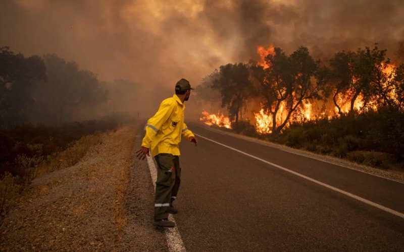 Forest Fire in Morocco Claims Lives of 3 Firefighters, Destroys 90 Hectares