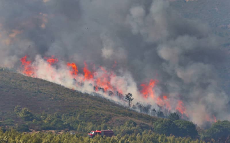 Forest Fires Rage Across Northern Morocco, Overwhelming Firefighters