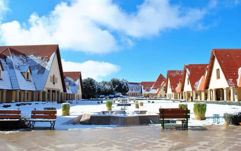 Former Yale Dean Appointed Vice President at Morocco's Al Akhawayn University