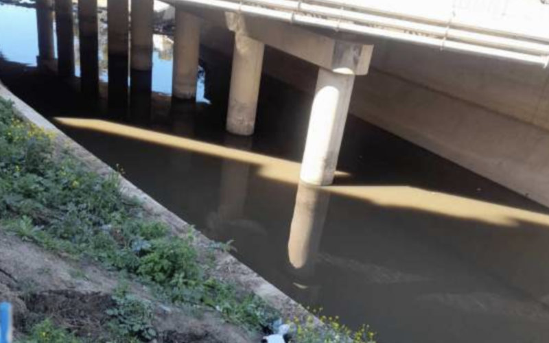 Foul Odors and Mosquitoes Plague Tangier Suburb, Residents Demand Action