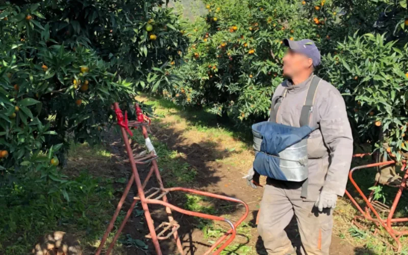 France: Moroccan Workers Paid 10,000 Euros to Work