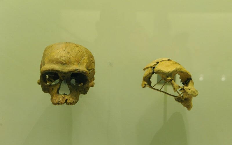 France to Repatriate 35,000 Ancient Artifacts to Morocco After Customs Seizure