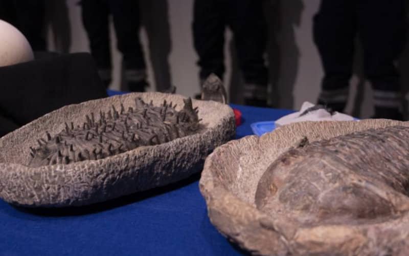 France Returns 25,000 Seized Archaeological Artifacts to Morocco