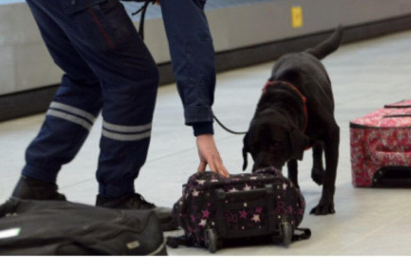 French ARTE Journalist Arrested at Moroccan Airport for Hashish Possession
