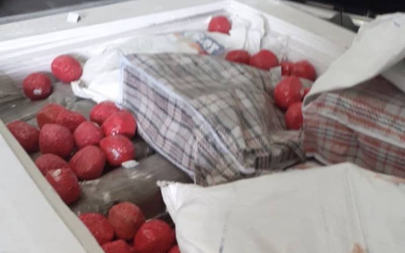 French Customs Seize 777 kg of Moroccan Cannabis Disguised as Tomatoes