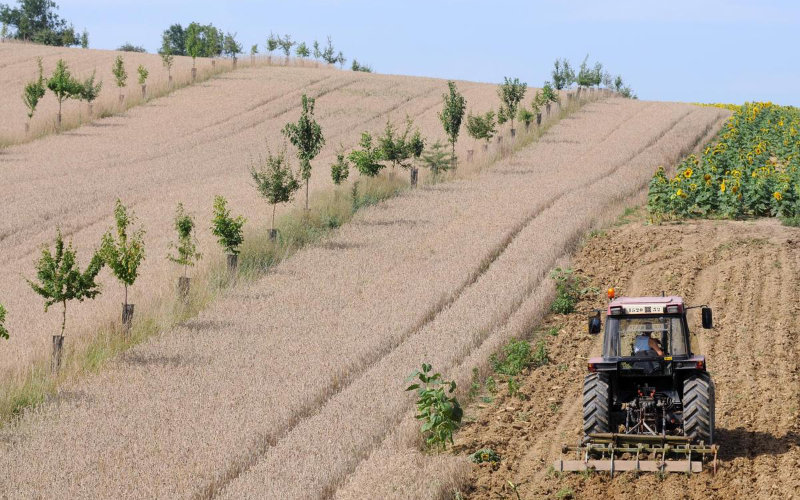 French Farmer Charged with Human Trafficking, Exploiting Moroccan Workers