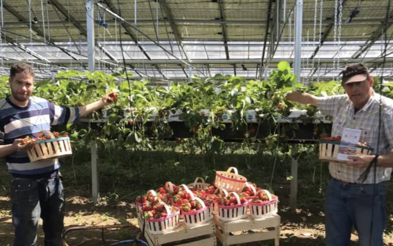 French Farmer Fights to Keep Moroccan Worker Facing Deportation