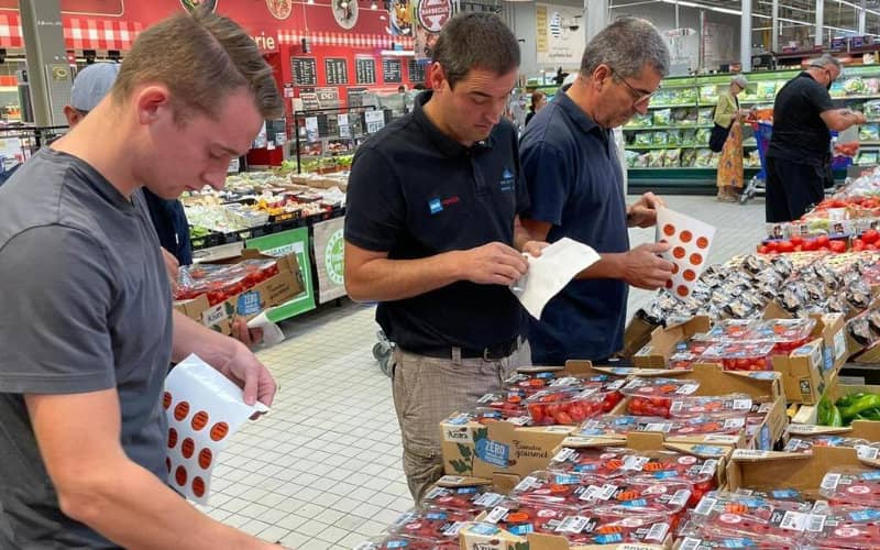 French Farmers Protest Surge in Moroccan Tomato Imports, Demand Action