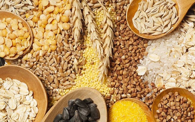 French Grain Producers Offer to Fill Morocco's Drought-Induced Cereal Shortage