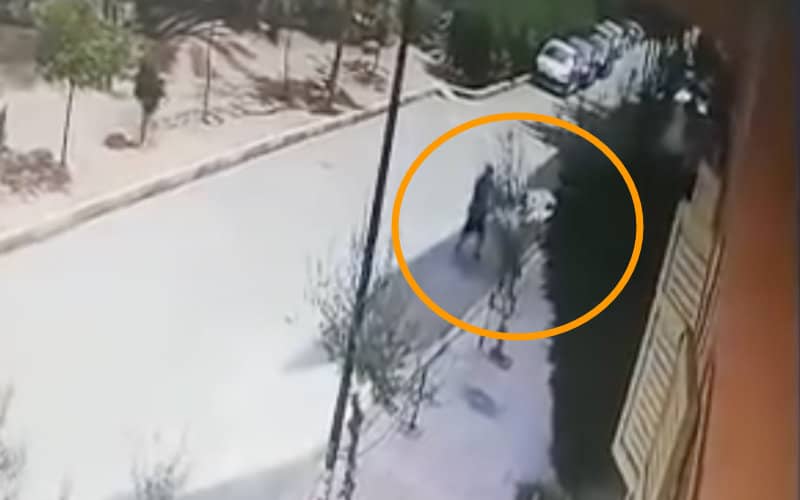French Resident Assaulted by Municipal Agent in Marrakech, Investigation Underway