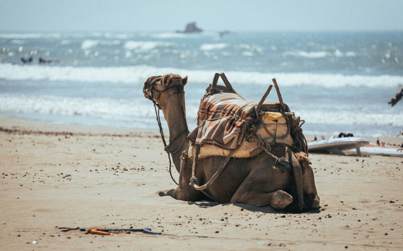French Retirees Flock to Agadir as Morocco Becomes Top Retirement Destination