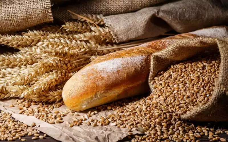 French Wheat Exports Surge as Morocco Becomes Top Buyer from Rouen Port