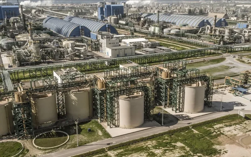 From Rock to Gray Gold: OCP's Plan to Transform 75% of Global Reserves into Premium Fertilizer