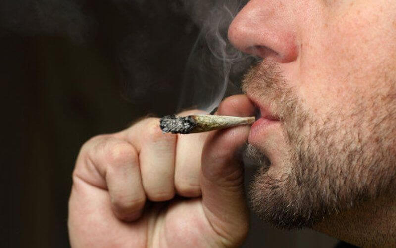 Global Cannabis Prices Surge as Coronavirus Disrupts Supply Chains