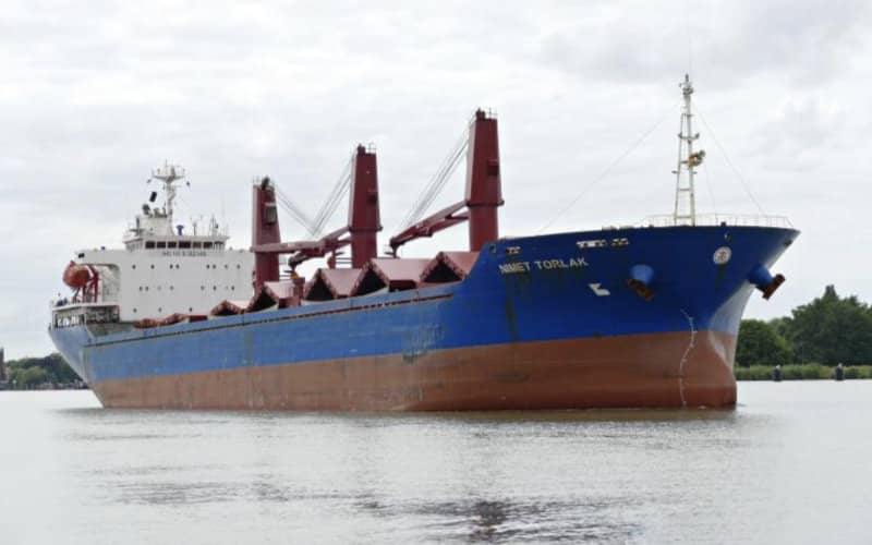 Grain Ships Depart Ukraine for Morocco, Germany Despite Russian Agreement Suspension