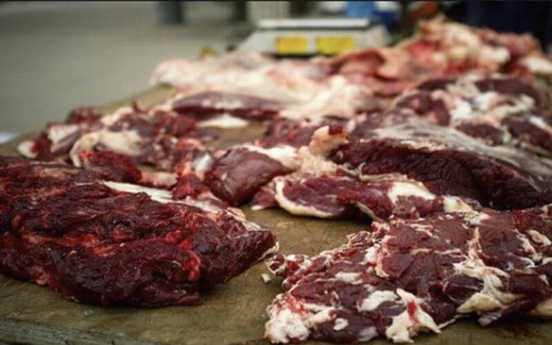 Grisly Discovery in Casablanca Raises Concerns Over Illegal Meat Trade