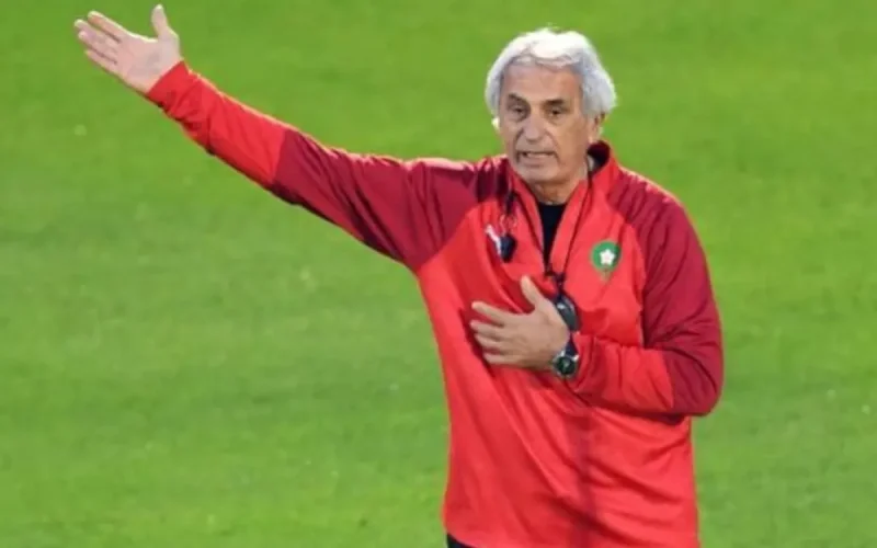 Halilhodžić Boycotts Morocco Matches After World Cup Snub