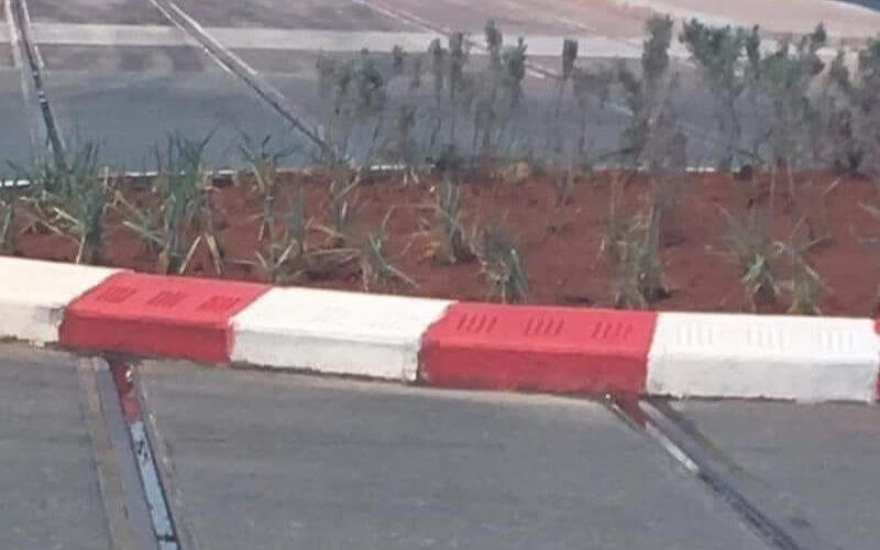 Hasty Roundabout Built on Tram Tracks for Pope's Visit Sparks Controversy in Morocco
