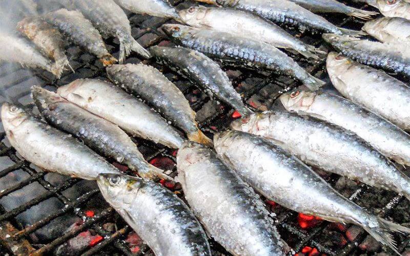 Health Alert: Toxic Canned Sardines Sold in Morocco for a Year, Officials Warn