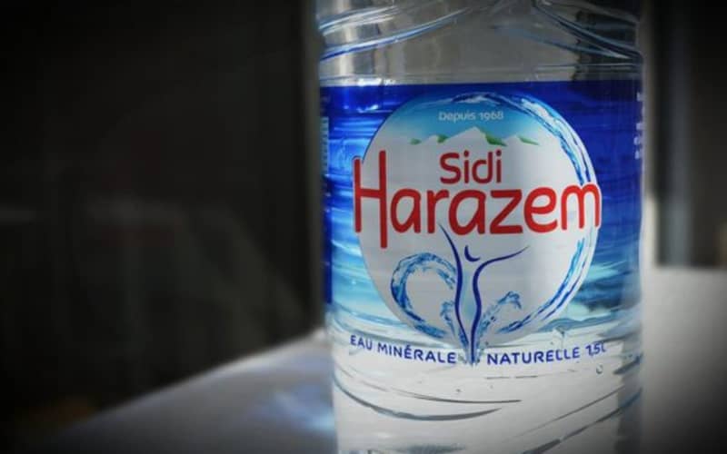 Health Minister: Lab Tests Confirm Contamination in Sidi Harazem Mineral Water