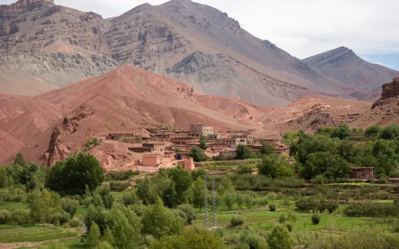 Health: Morocco ranked number 1 in the world for the immune system
