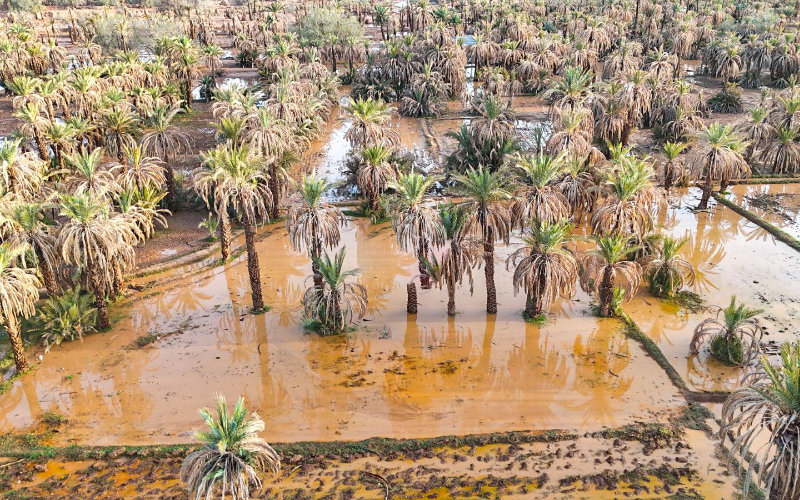 Flooding Disrupts Travel as Heavy Rains Batter Southeastern Morocco