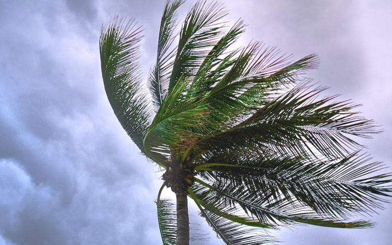Heavy Rains and Strong Winds Prompt Weather Alert in Northern Morocco