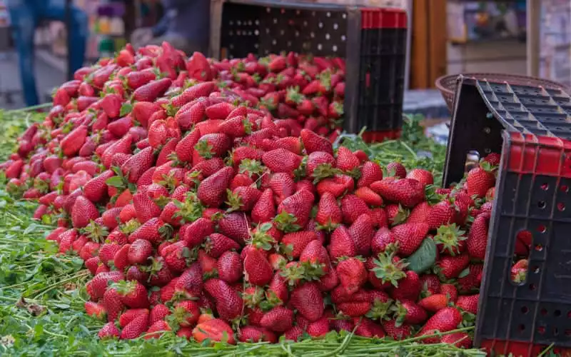 Hepatitis A: a new batch of Moroccan strawberries intercepted in Spain