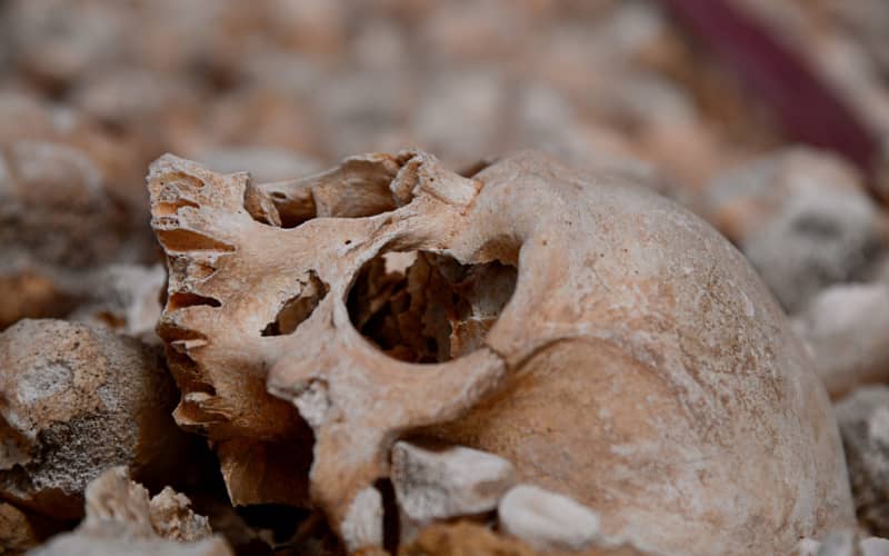 Human Remains Discovered on Moroccan Beach Prompt Investigation