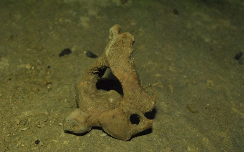 Human Remains Unearthed During Road Construction in Chichaoua, Morocco