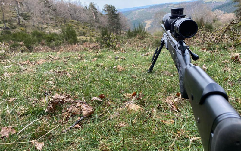 Hunter Killed in Morocco: Love Triangle Emerges in Investigation