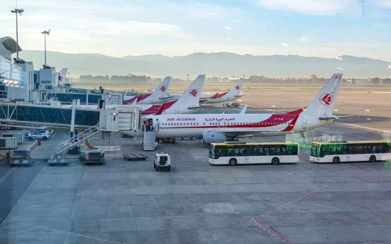 IATA Chief Slams Algeria's Airspace Ban on Moroccan Planes, Citing Aviation Industry Harm