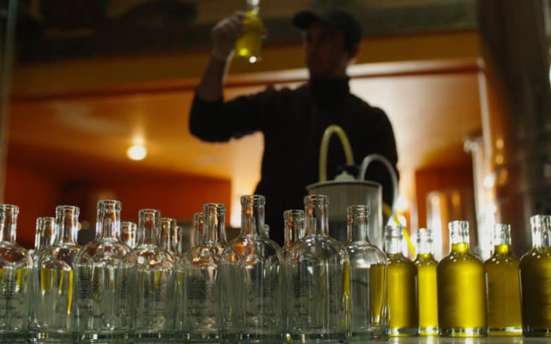 Illegal Olive Oil Operation Busted in Marrakech, Two Arrested