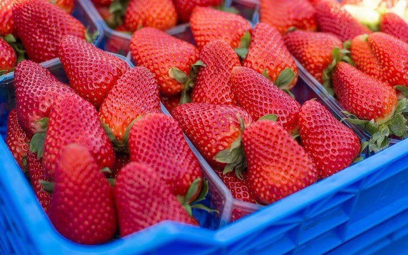 Intermarché bans Moroccan strawberries