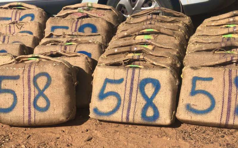 International Drug Ring Busted in Agadir: Six Arrested, Over 1 Ton of Cannabis Seized