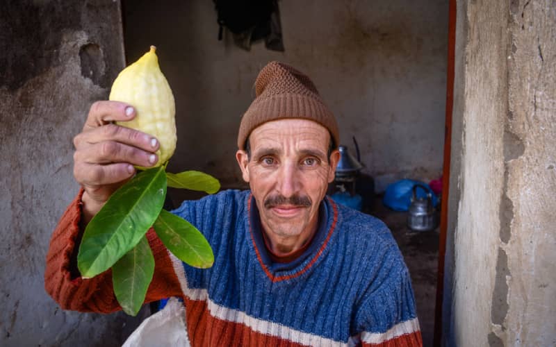 Israel Imports Moroccan Etrogs for Sukkot Due to Religious Restrictions