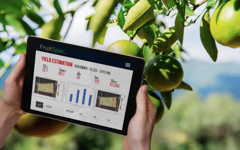 Israeli Agritech Firm Brings AI-Powered Fruit Yield Estimation to Morocco
