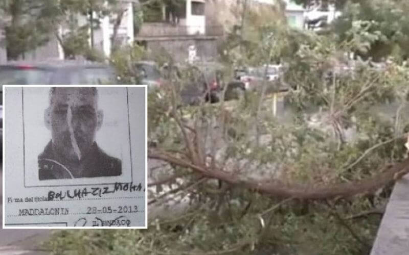 Italian Officials Face Charges After Moroccan Man Killed by Falling Tree at Naples Racetrack