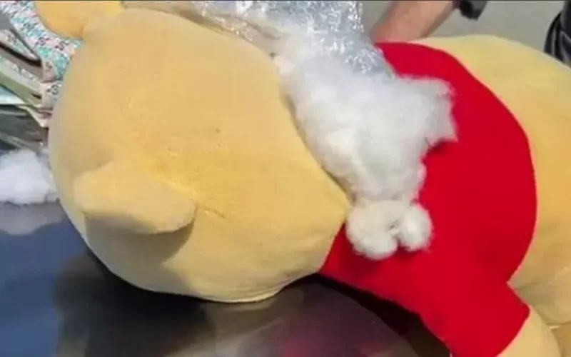 Italy Morocco 60000 euros hidden Winnie Pooh customs bust