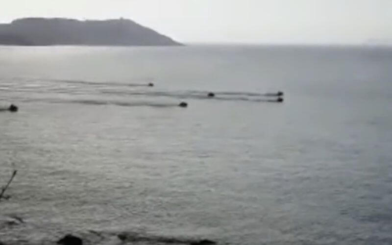 Jet Ski Smugglers Swiftly Extract Migrants from Spanish Enclave of Ceuta