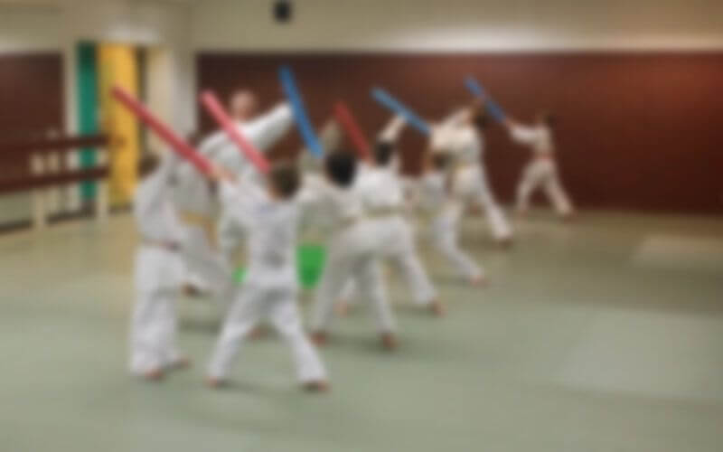 Karate Coach Arrested for Sexual Assault of Six Minors at Moroccan Club
