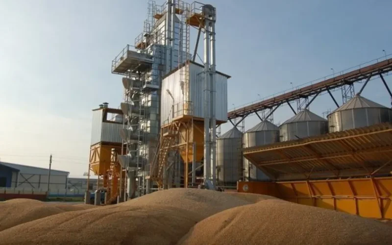 Kazakhstan chooses Morocco to store its wheat and sell it across Africa
