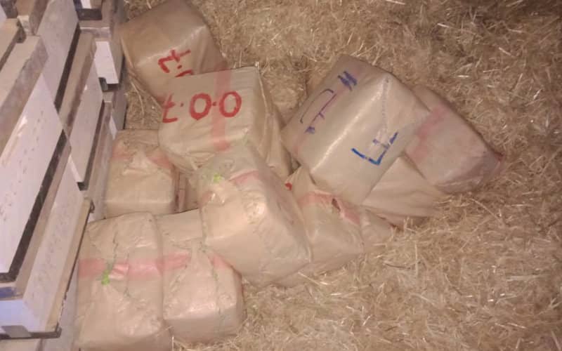 Laâyoune Police Seize Firearm and Drugs, Arrest Two in Trafficking Case