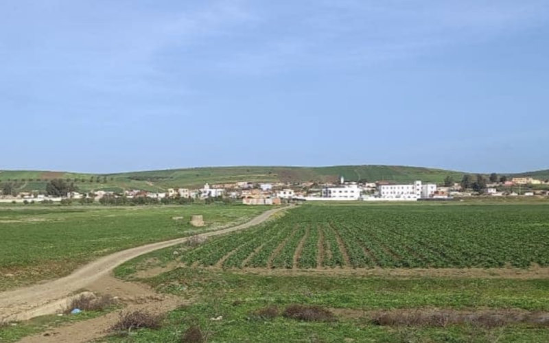 Land Dispute Turns Deadly in Moroccan Village