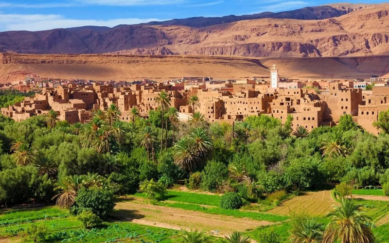 Land Expropriation Trial Resumes in Fez: 38 Officials Face Forgery Charges