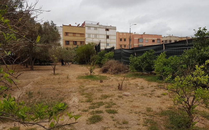 Land Fraud Scheme Targets World Cup 2030 Sites in Morocco